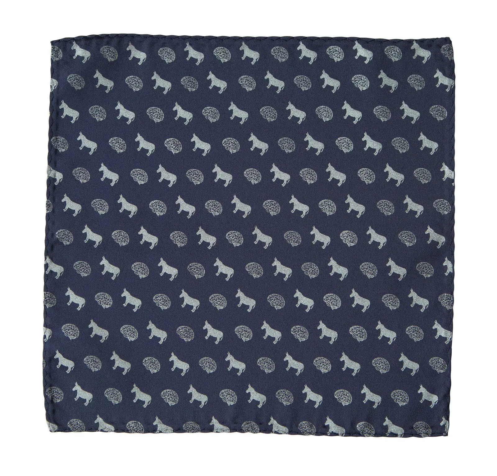 Smart Ass Pocket Square, Brains and Donkeys Pattern Print