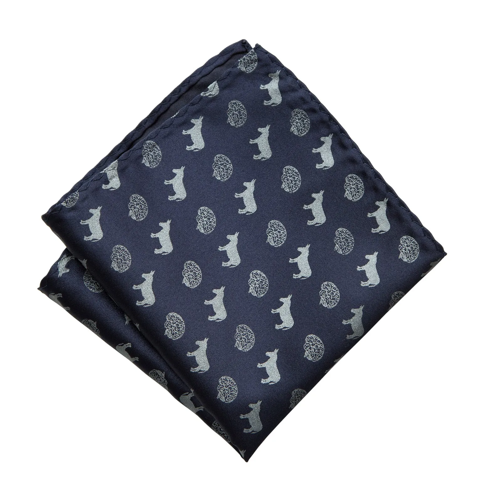 Smart Ass Pocket Square, Brains and Donkeys Pattern Print