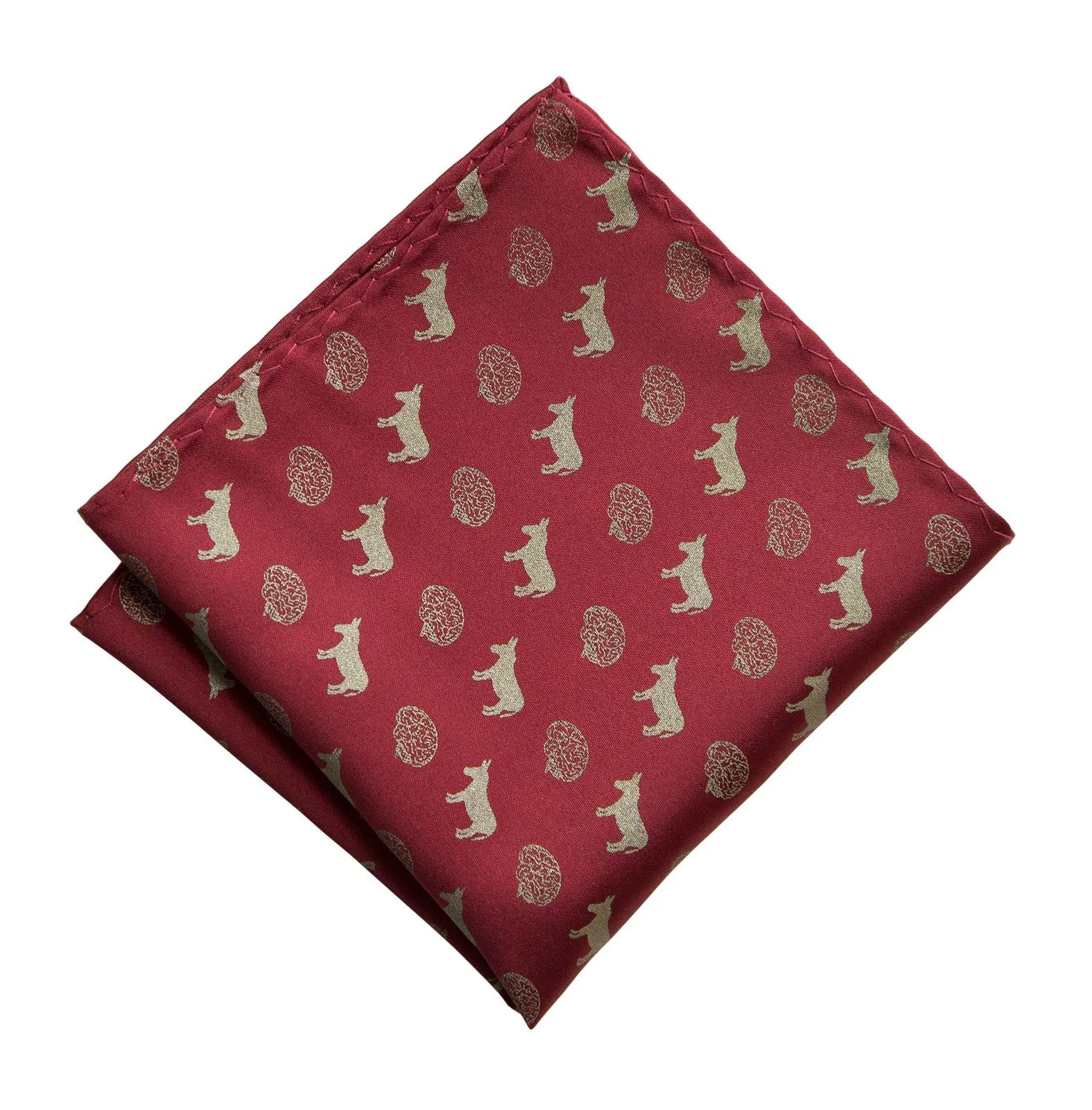 Smart Ass Pocket Square, Brains and Donkeys Pattern Print