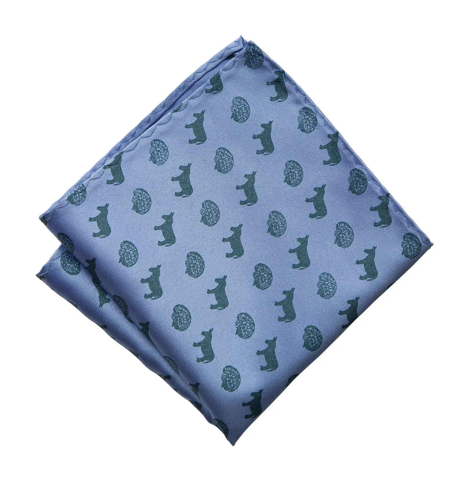 Smart Ass Pocket Square, Brains and Donkeys Pattern Print